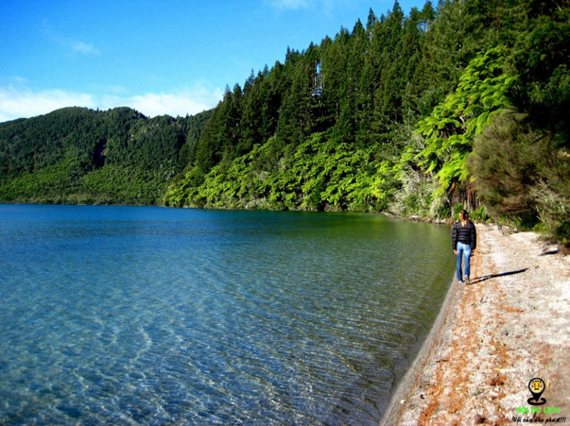 Hồ nước Blue Lake, New Zealand