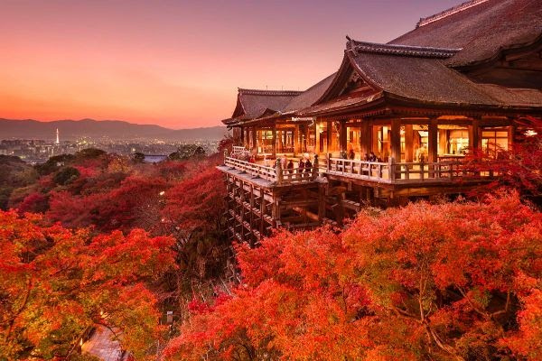 Những địa điểm ngắm lá phong đỏ hấp dẫn ở Nhật Bản (Phần 1)