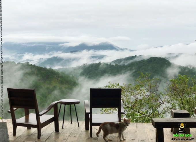 Top 4 quán cà phê chạm tới mây trời ở Đà Lạt