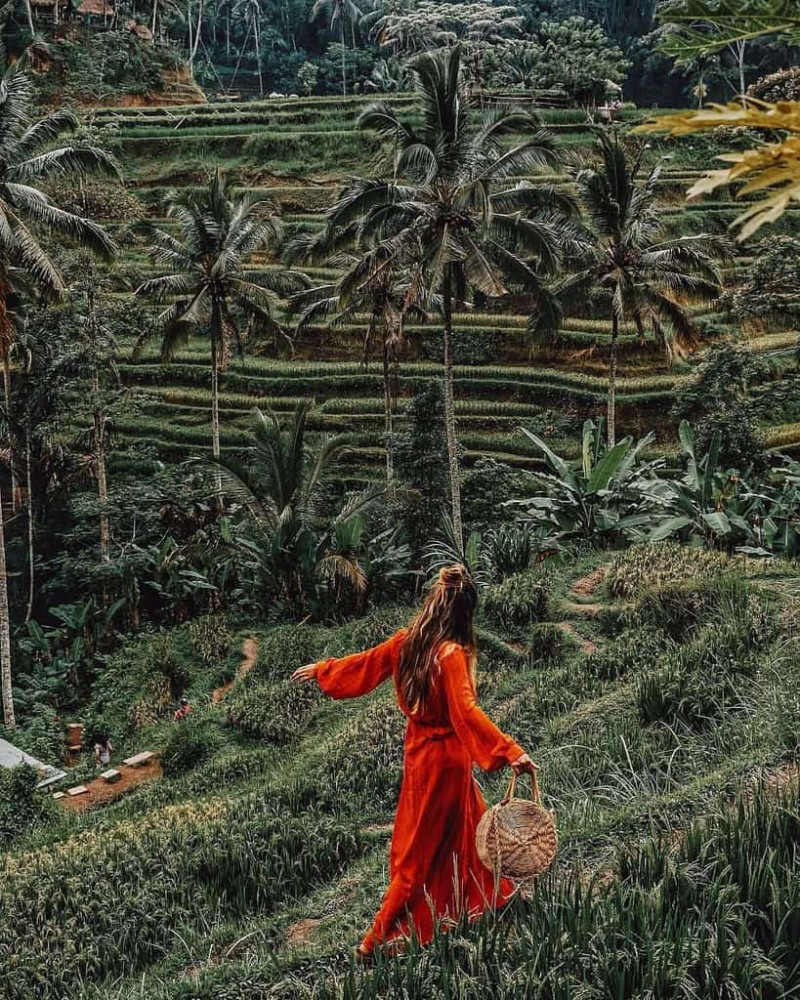Những lý do hết sức thuyết phục bạn nên du lịch Ubud, Bali vào năm 2019 này 