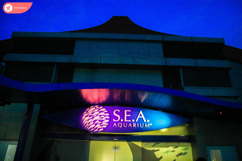 Khám phá thế giới biển xanh tại S.E.A. Aquarium Singapore – thủy cung “hoành tráng” bậc nhất châu Á 