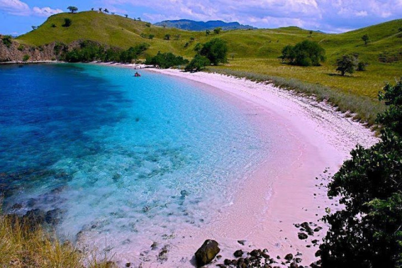 bãi biển màu hồng, đảo Komodo (Indonesia)