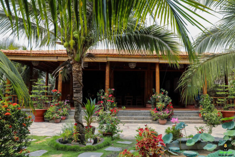 Homestay làm từ 4000 cây dừa tại Vĩnh Long