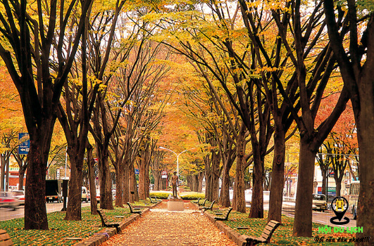 Du lịch Osaka mùa thu tại Nhật Bản