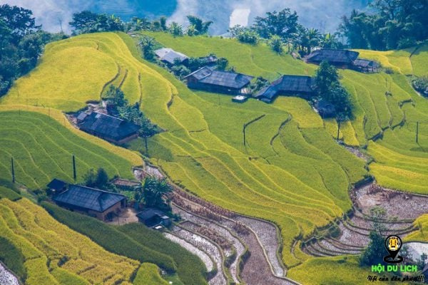 Tổng hợp những địa điểm ngắm ruộng bậc thang Việt Nam mùa lúa chín