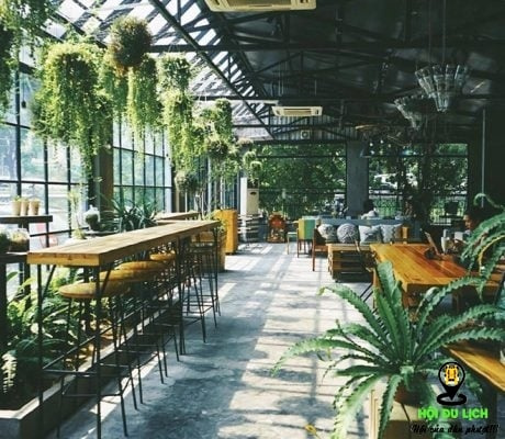 Điểm danh các quán cà phê xanh mướt được yêu thích ở Hà Nội Part 1