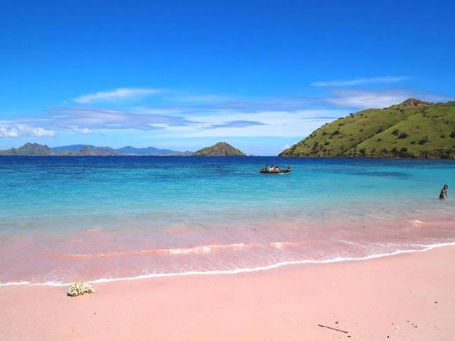 bãi biển màu hồng, đảo Komodo (Indonesia)