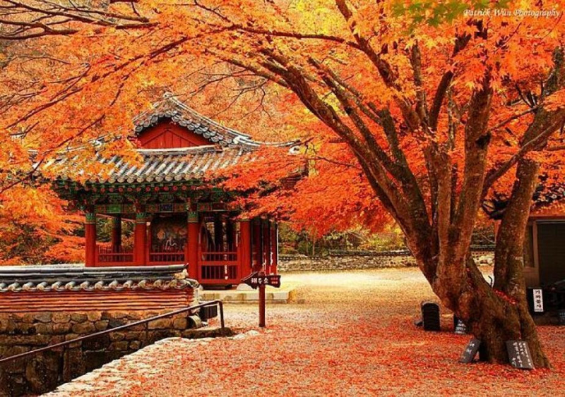 Những địa điểm du lịch mùa thu đẹp nhất thế giới