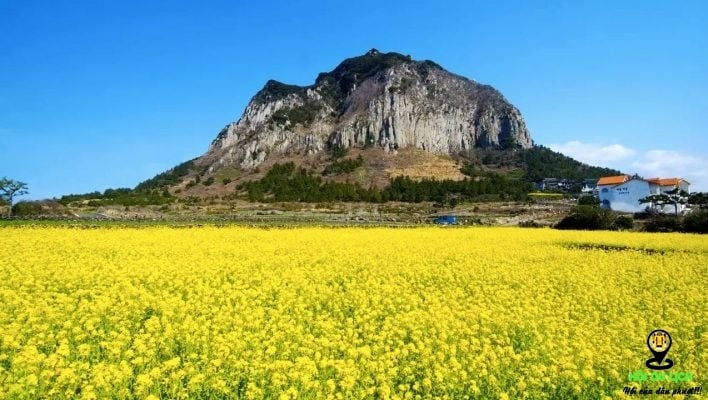 Top 5 điểm du lịch tuyệt nhất vào mùa hè ở Hàn Quốc mà bạn không nên bỏ qua