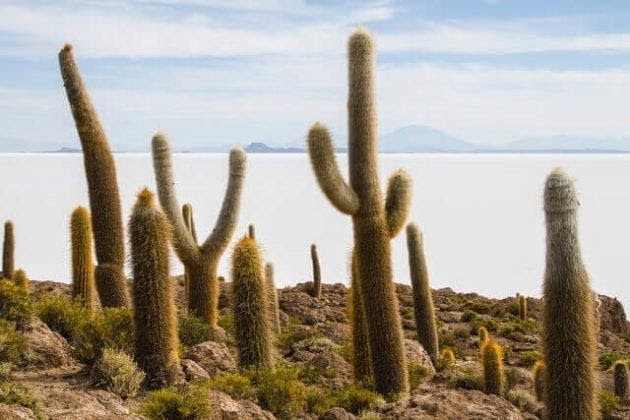 Vẻ đẹp cuốn hút Cánh đồng muối Salar De Uyuni, Bolivia