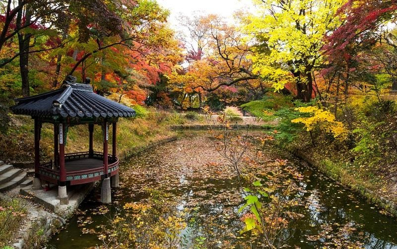 Du lịch Hàn Quốc, du lịch mùa thu hàn quốc