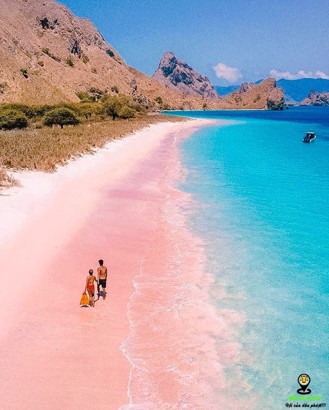 Biển hồng ở đảo Komodo (Indonesia) – Thiên đường của nhân loại