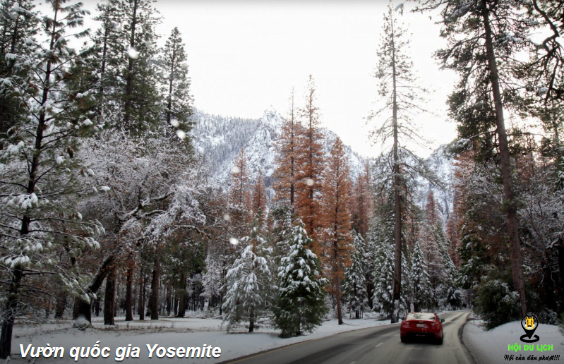 Khám phá vẻ đẹp mùa đông tại vườn quốc gia Yosemite – California