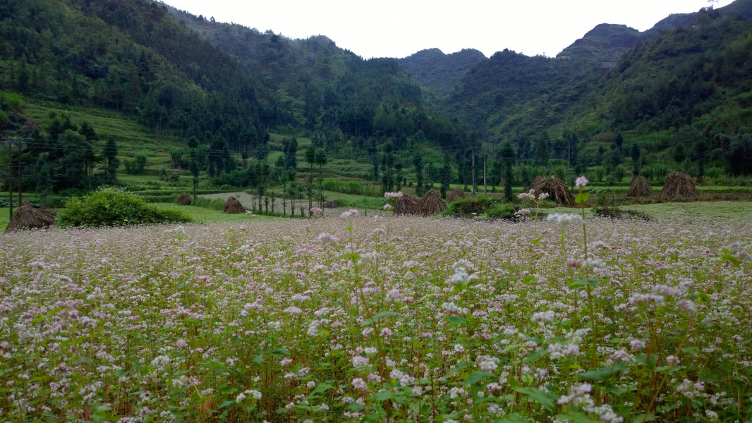 Hà Giang