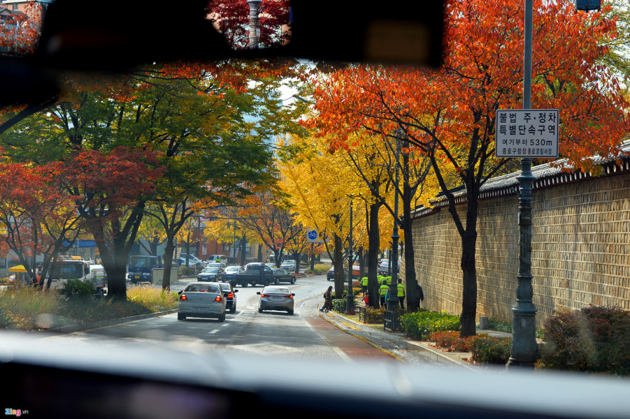 Khi lá phong chuyển màu đỏ rực ở Hàn Quốc