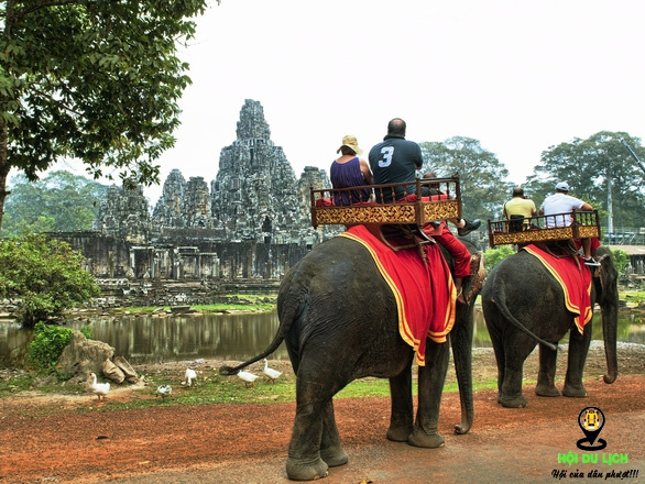Campuchia cấm du khách cưỡi voi ở Angkor