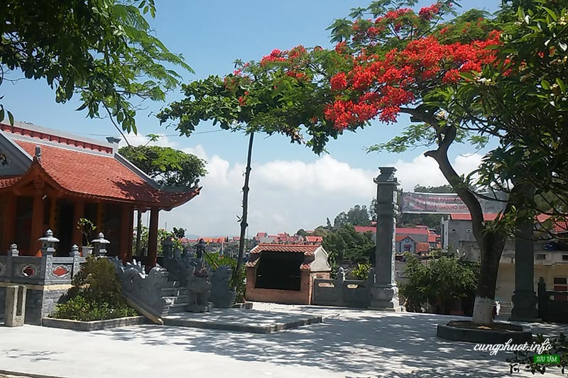 Tư vấn du lịch phượt, đặt phòng homestay ở Hải Hòa, Thanh Hóa