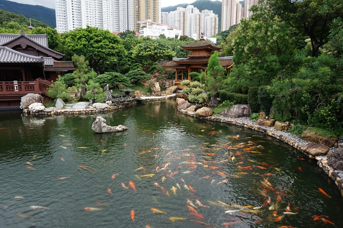du lịch hồng kông, du lịch sinh thái, du lịch chăm sóc sức khỏe, công viên Hồng Kông, công viên Hồng Kông, địa điểm du lịch Hồng Kông, du lịch Hồng Kông