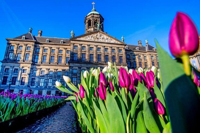 du lịch Amsterdam, du lịch Hà Lan, Khách sạn ở Hà Lan, điểm lưu trú ở Hà Lan, điểm lưu trú tại Amsterdam, du lịch Amsterdam, du lịch Hà Lan