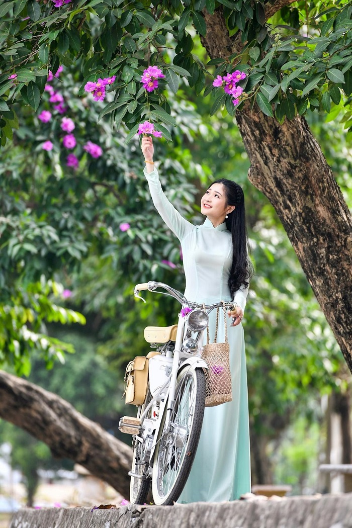 Cây bằng lăng khổng lồ đẹp nhất đất Việt đang rực nở, nhuộm tím trời Bình Thuận 