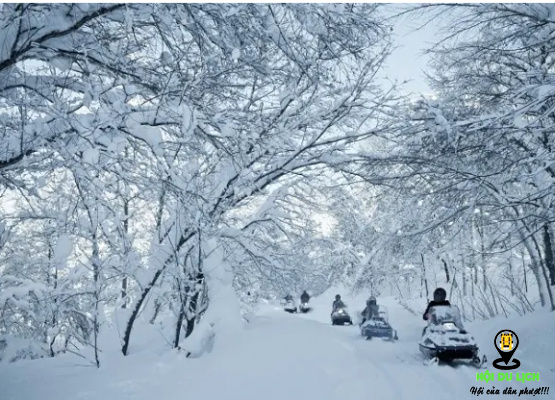 Top 5 trải nghiệm thú vị nhất khi du lịch mùa đông ở Nhật Bản