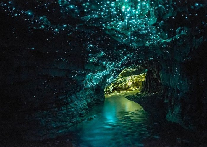 dãi ngân hà dưới lòng đất, hang động Waitomo Glowworm Caves, dải ngân hà dưới lòng đất tuyệt đẹp ở New Zealand