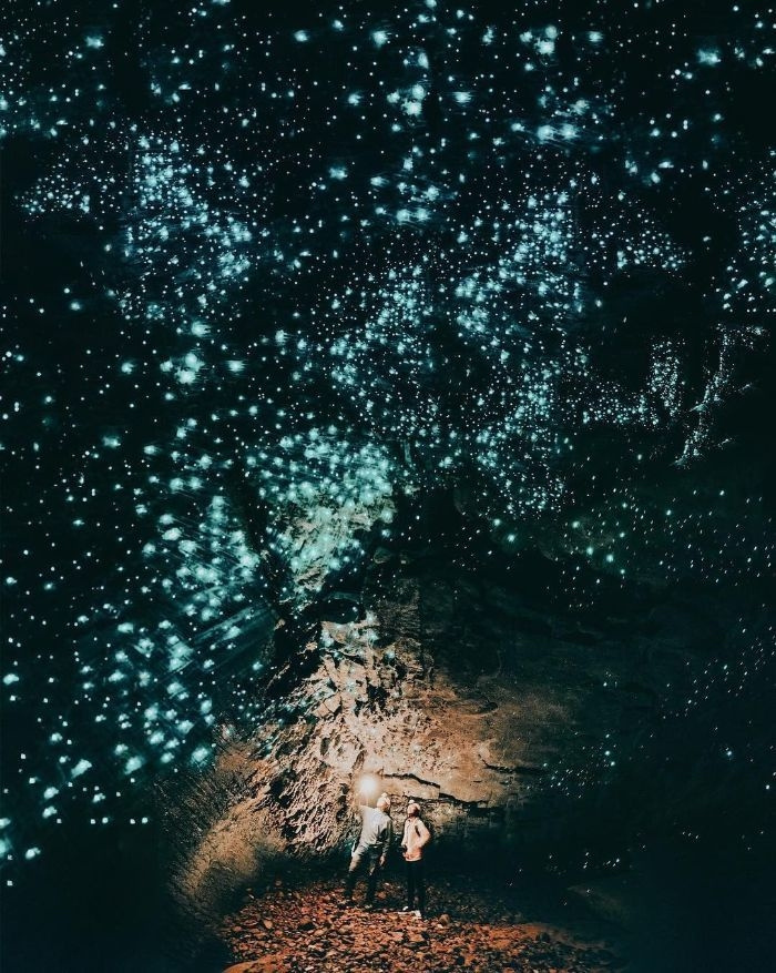 Mãn nhãn ngắm dải ngân hà dưới lòng đất tuyệt đẹp ở New Zealand