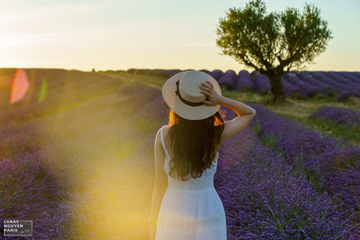 du lịch Pháp, kinh nghiệm chụp ảnh đẹp, du lịch Provence, cánh đồng hoa oải hương nước Pháp, cánh đồng hoa oải hương, cánh đồng hoa oải hương nước pháp, kinh nghiệm chụp ảnh ở cánh đồng hoa oải hương