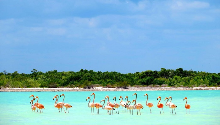 Ghé thăm đảo Isla Holbox, Mexico - vùng đất yên bình không có bóng dáng của xe hơi