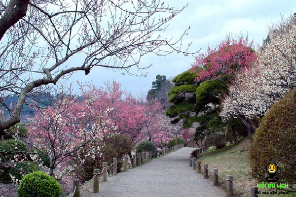 du lịch Nhật Bản, mùa hoa nhật bản