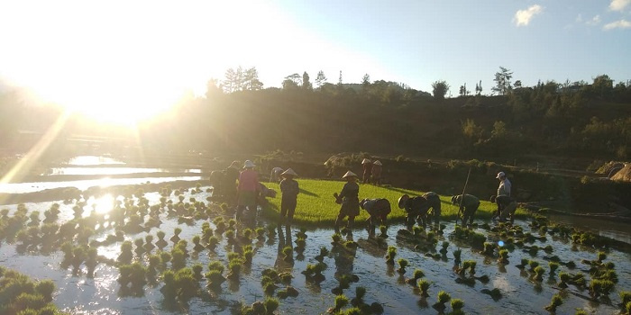 du lịch Sapa, Sapa mùa nước đổ, chơi gì ở Sapa, mùa nước đổ Sapa, Sapa mùa nước đổ, du lịch Sapa, chơi gì ở Sapa, mùa nước đổ Sapa