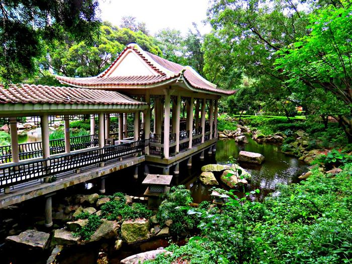 du lịch hồng kông, những công viên đẹp, du lịch chăm sóc sức khỏe, du lịch sức khỏe, công viên xanh, công viên xanh Hồng Kông, du lịch Hồng Kông