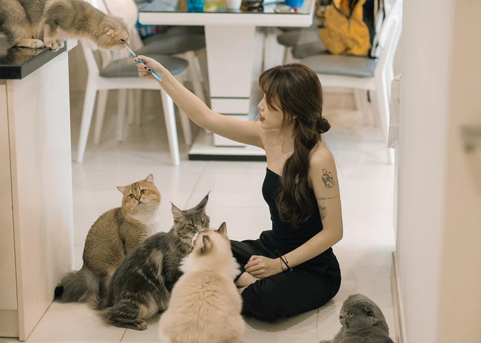 5 quán cafe thú cưng ở Hà Nội đẹp được giới trẻ check-in rần rần