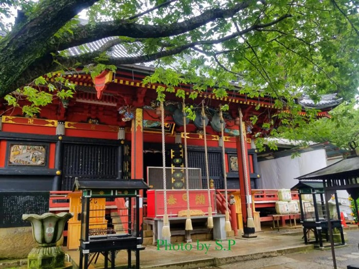 du lịch Nhật Bản, địa điểm du lịch Nhật Bản, hoa cẩm tú cầu Nhật Bản, chùa Amabiki Kannon, cẩm tú cầu Nhật Bản, du lịch Nhật Bản