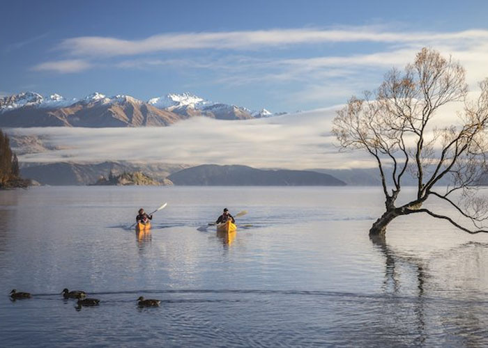 du lịch New Zealand, quà lưu niệm New Zealand, du lịch New Zealand