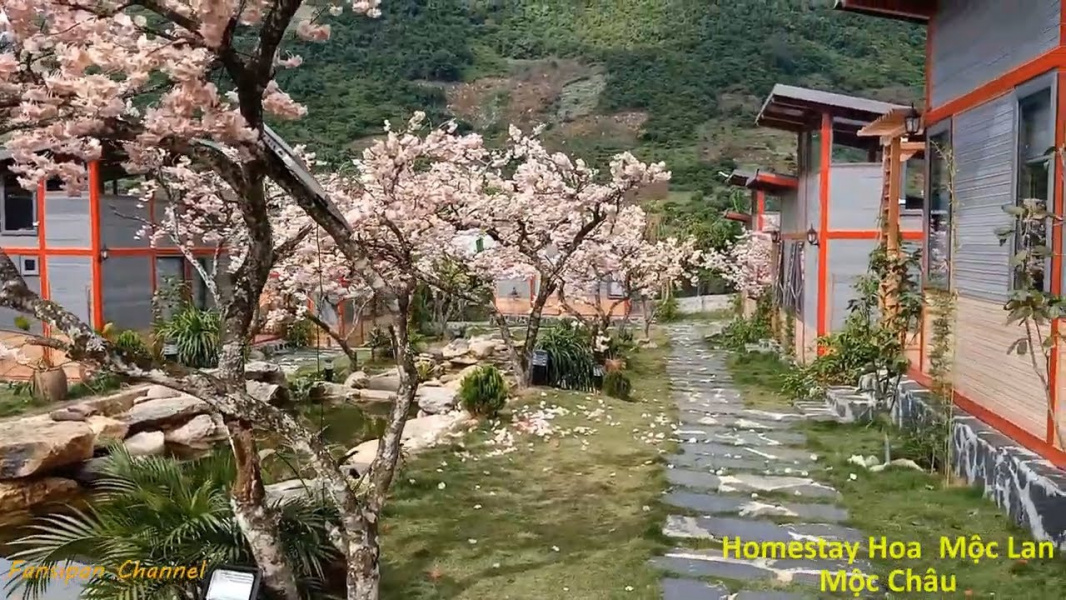 Homestay đẹp ở Mộc Châu kết nối trải nghiệm tuyệt vời