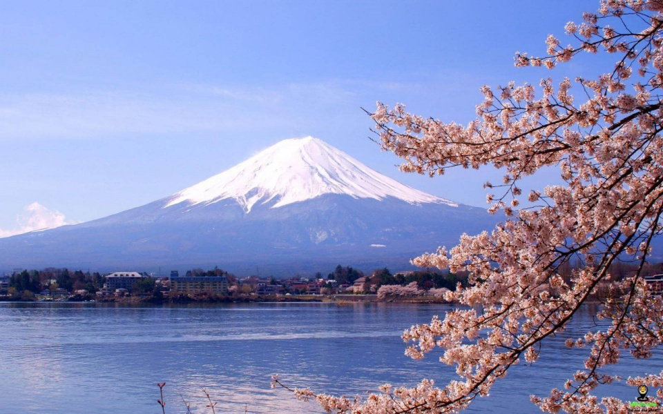 Top 5 địa điểm du lịch Nhật Bản không nên bỏ qua