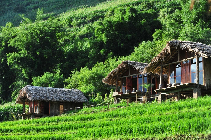 Hmong mountain retreat homestay, homestay, homestay Sa pa, Sapa Clay house homestay, top 20, Topas ecolodge homestay