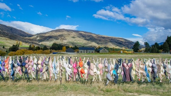 du lịch New Zealand, Chuyện độc lạ, địa điểm du lịch New Zealand, hàng rào áo ngực, hàng rào áo ngực Cardrona, New Zealand
