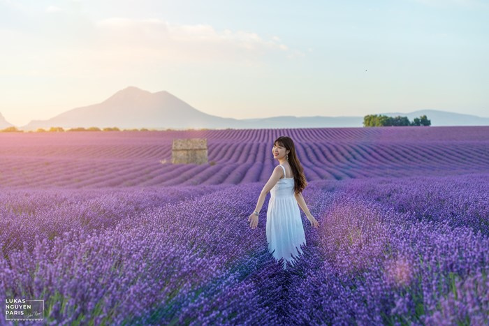 du lịch Pháp, kinh nghiệm chụp ảnh đẹp, du lịch Provence, cánh đồng hoa oải hương nước Pháp, cánh đồng hoa oải hương, cánh đồng hoa oải hương nước pháp, kinh nghiệm chụp ảnh ở cánh đồng hoa oải hương