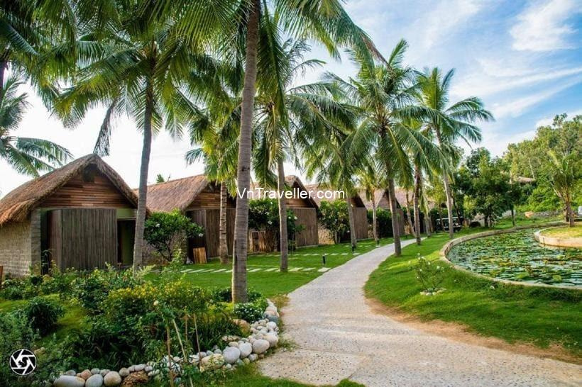 Casa Marina Resort: Khu nghỉ dưỡng lưng tựa núi, mặt hướng biển Quy Nhơn