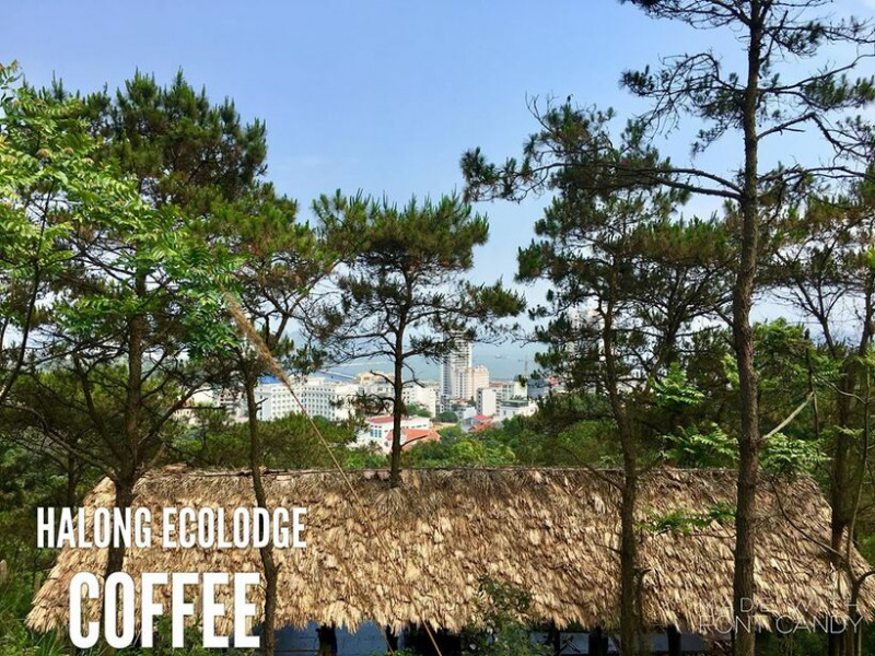 Halong Ecolodge – Eco House: homestay ẩn trên rừng núi, view biển đẹp
