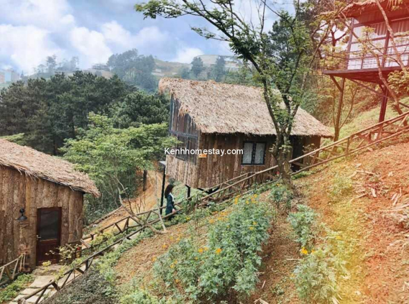 Chillout Village: Homestay “nhà gỗ” cực xinh lưng chừng đồi ở Tam Đảo