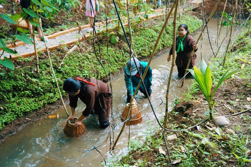 Top 15 vườn trái cây Long Khánh Đồng Nai sai trĩu quả, tham quan chỉ 10k