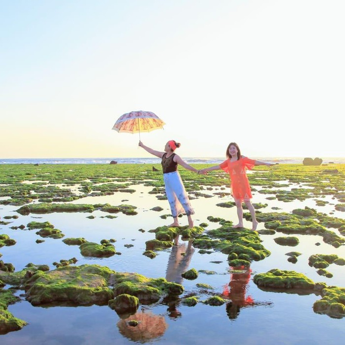 Cánh đồng rong biển ở Ninh Thuận đẹp như mơ khiến tim loạn nhịp