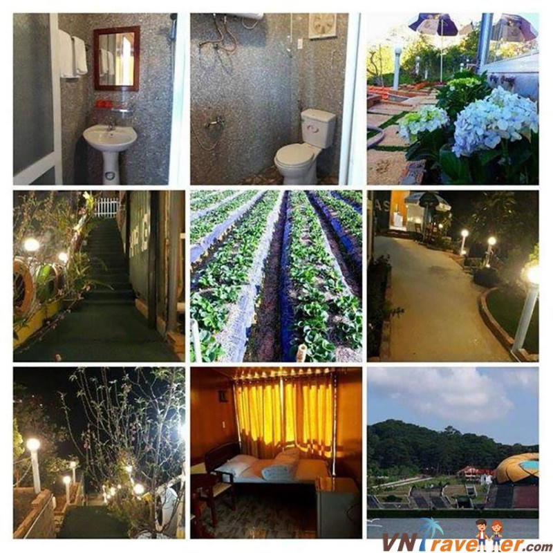 99 homestay Đà Lạt giá rẻ đẹp gần chợ đêm, hồ Xuân Hương, Tuyền Lâm