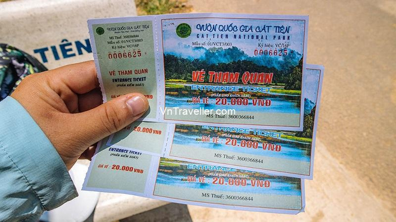 Kinh nghiệm du lịch cắm trại rừng Nam Cát Tiên Đồng Nai từ A-Z