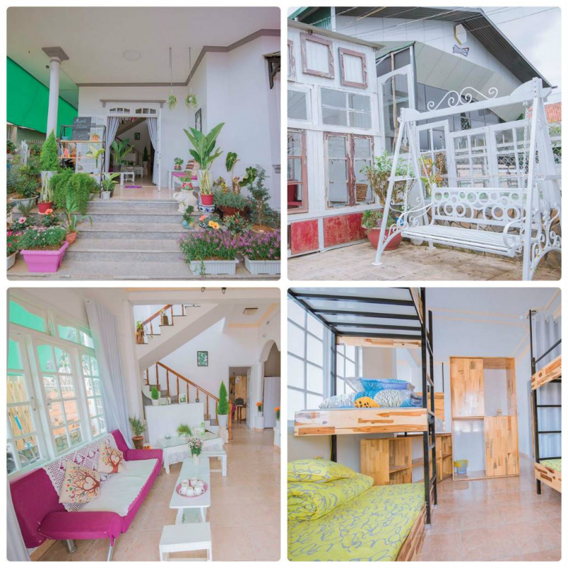 10 hostel homestay Đà Lạt gần chợ đêm giá rẻ đẹp, gần trung tâm chỉ 100k