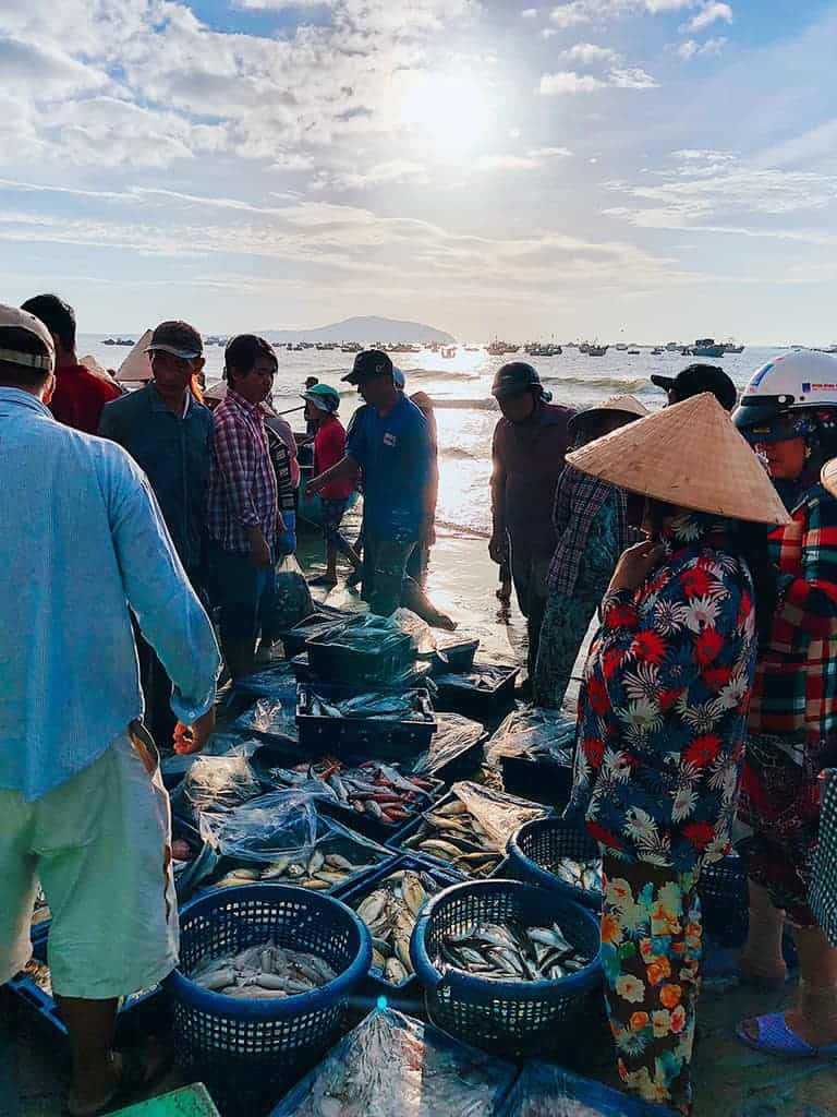 Bỏ túi kinh nghiệm mua hàng tươi ngon, giá rẻ tại chợ hải sản Sầm Sơn
