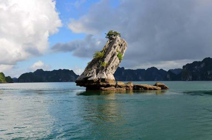 Hòn Con Cóc – Hòn đảo mang hình hài kỳ lạ trên vịnh Hạ Long